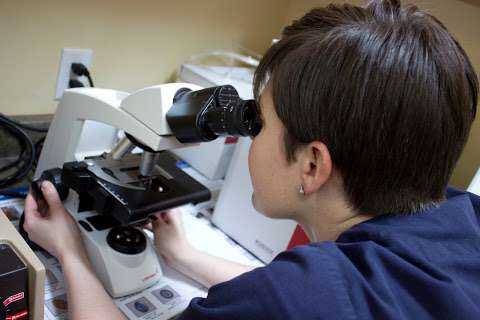 Clinique Vétérinaire de Luceville Clinique Vétérinaire de Luceville